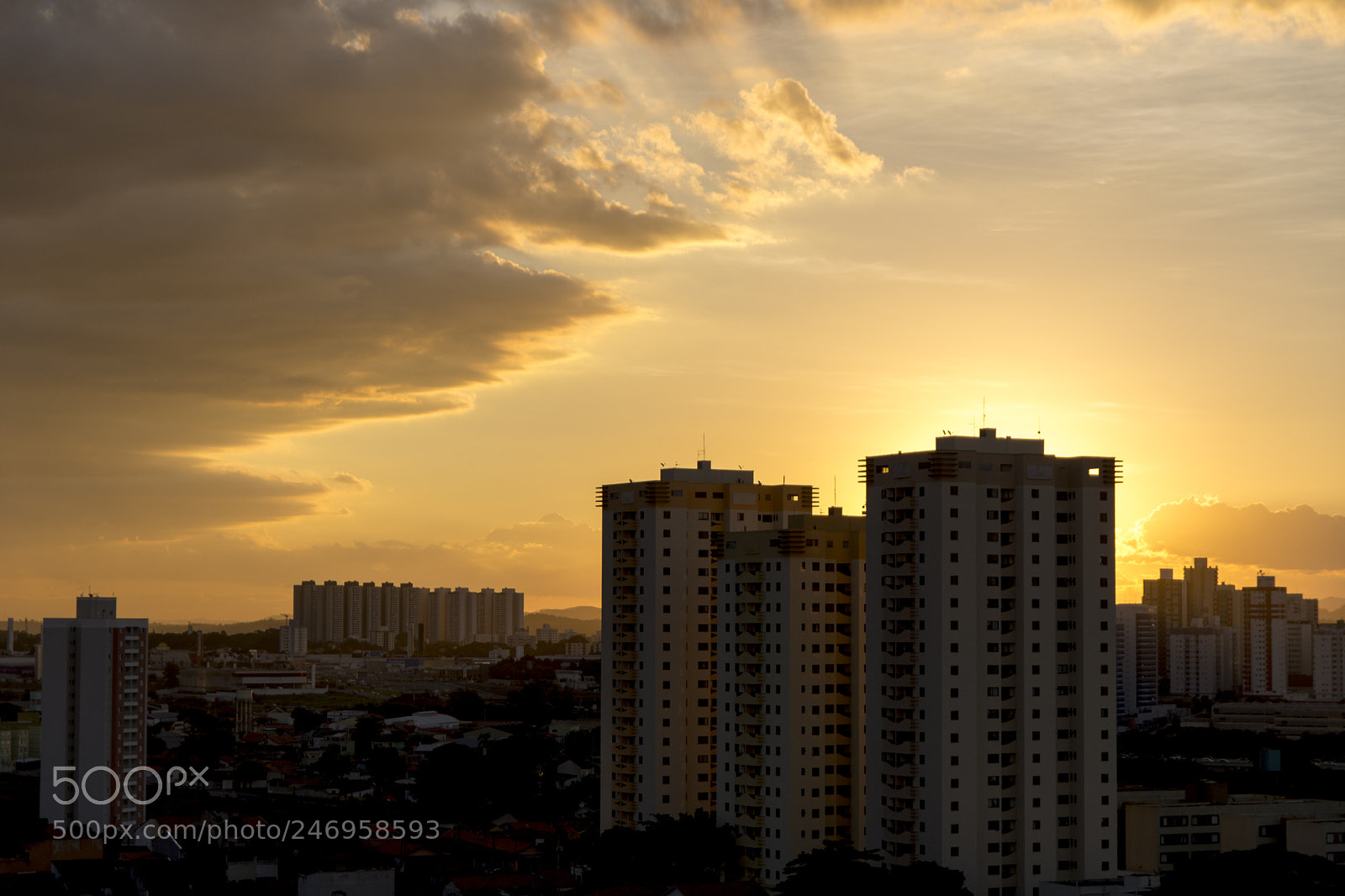 Nikon D7200 sample photo. Sunlight photography