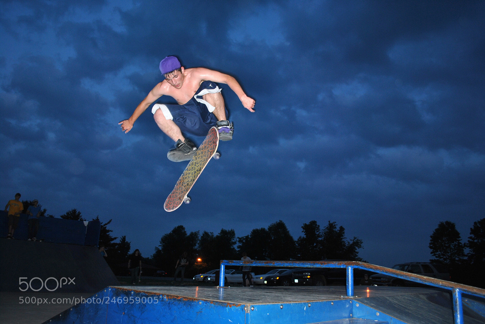 Nikon D3000 sample photo. "taking flight" photography