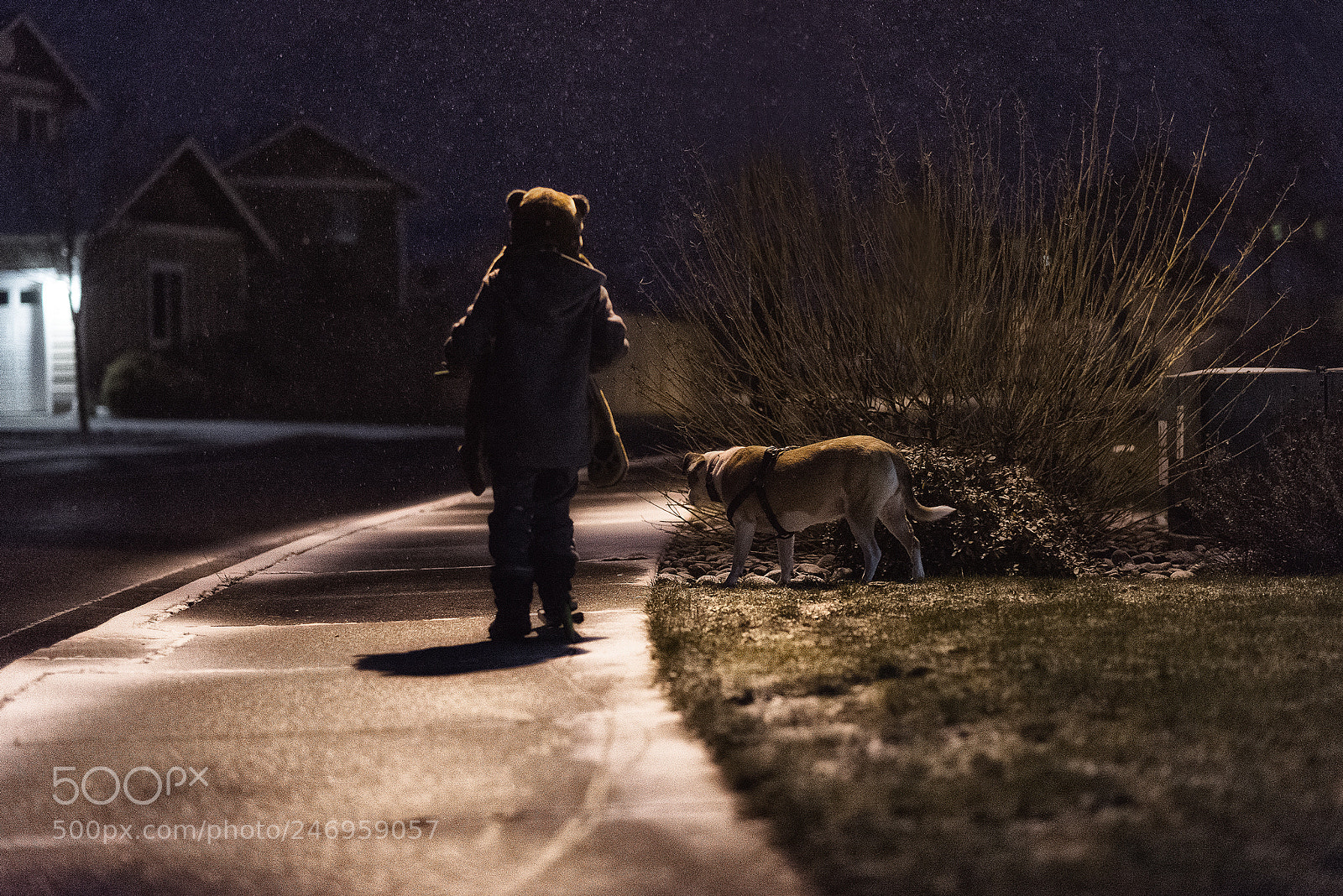 Nikon D600 sample photo. Snowy photography