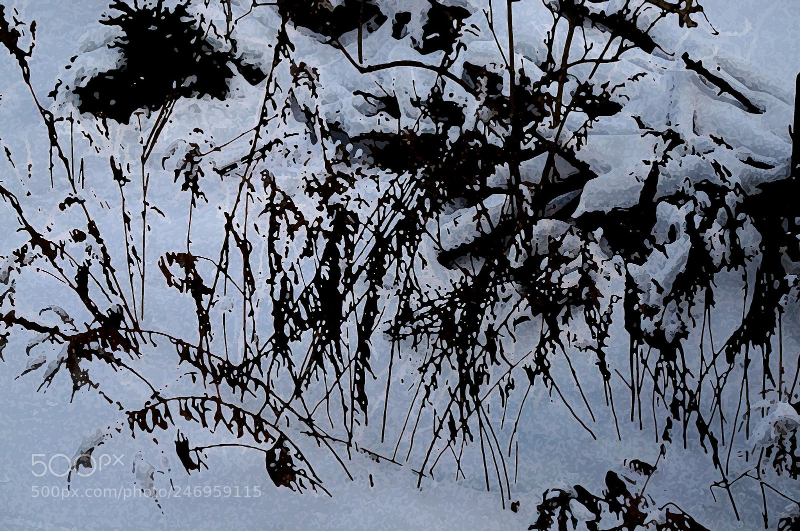 Sony Alpha NEX-6 sample photo. Beauty in winter 2 photography
