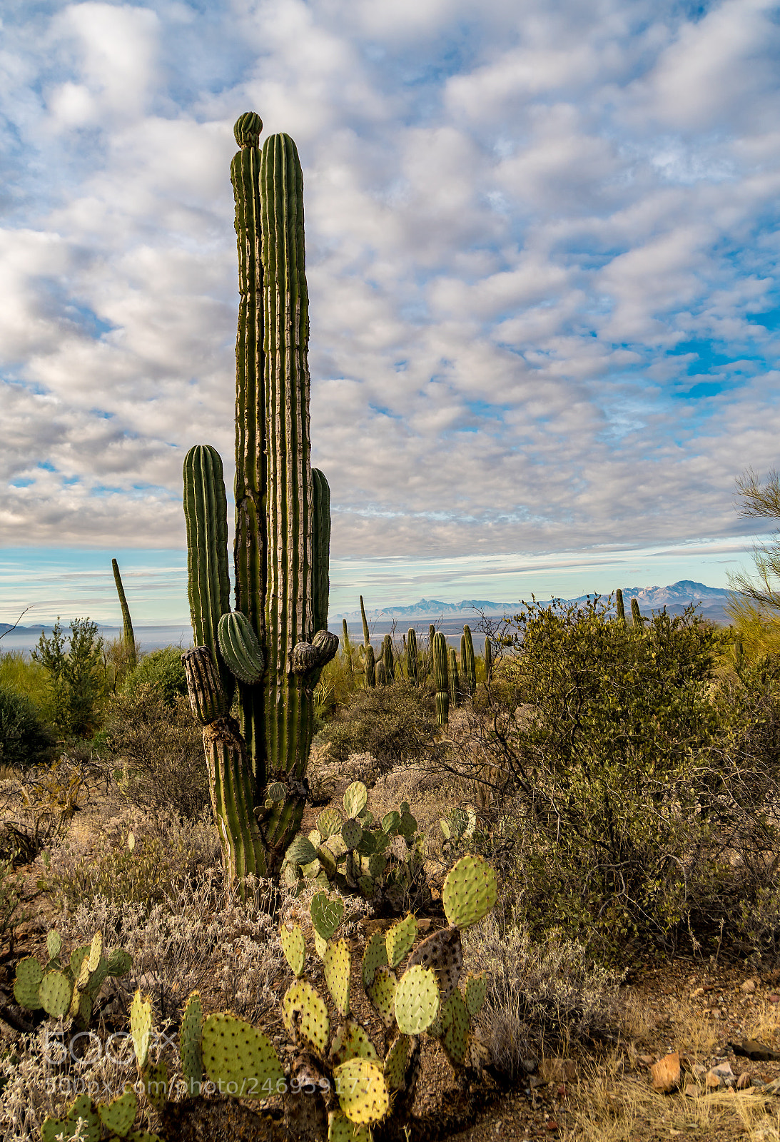 Sony a6300 sample photo. Arizona desert landscape photography