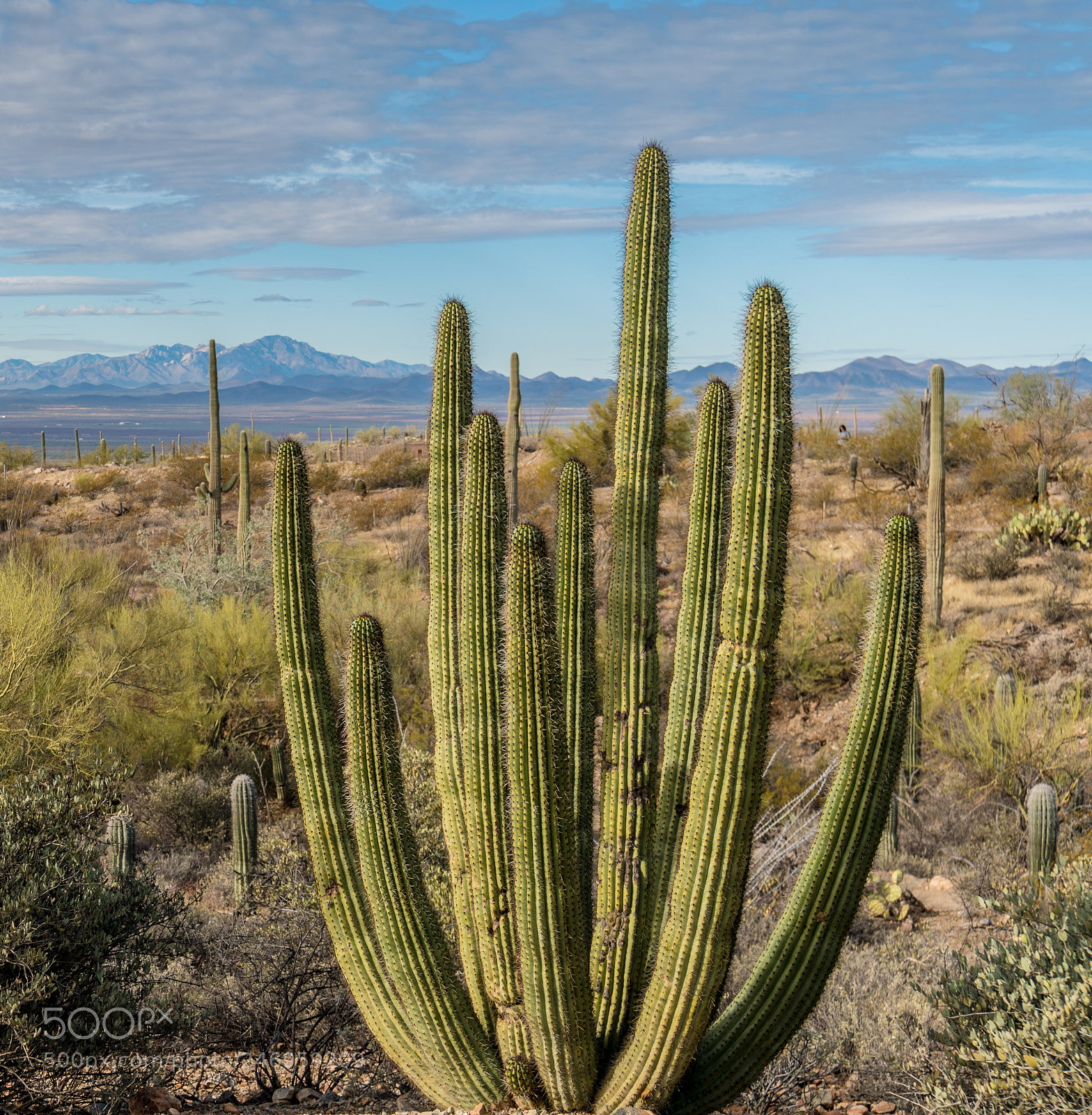 Sony a6300 sample photo. Arizona desert landscape photography