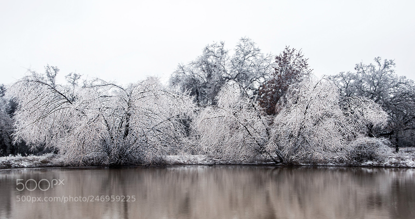 Nikon D7100 sample photo. Winter wonderland photography