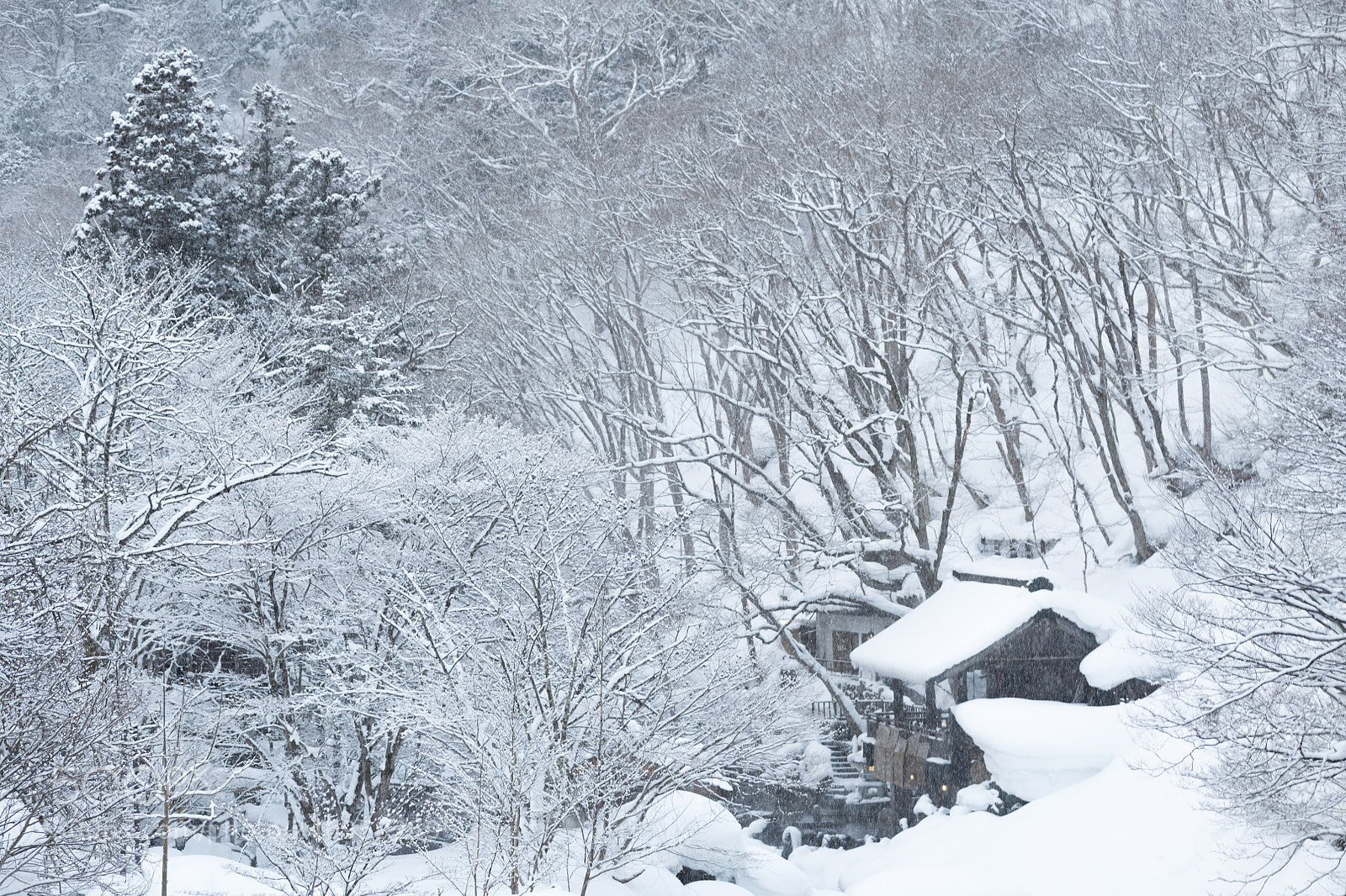 Nikon D850 sample photo. Takaragawa photography