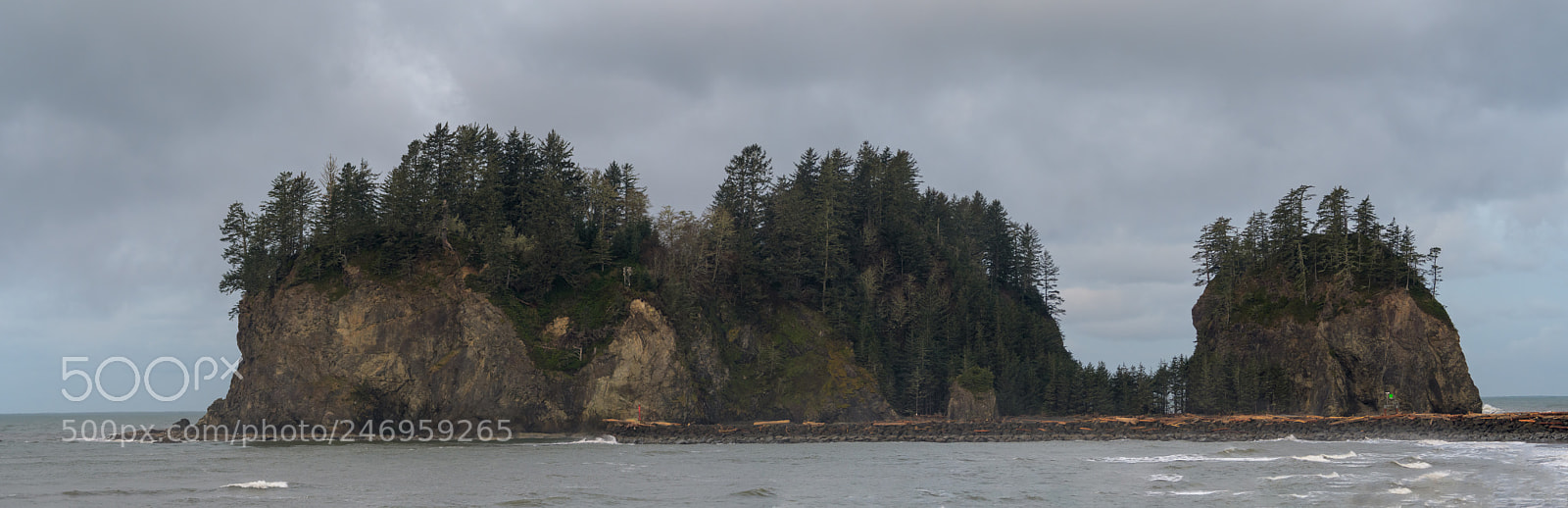 Nikon D500 sample photo. James island, pacific coast photography
