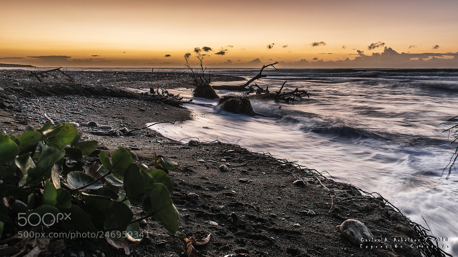 Nikon D800 sample photo. Pato beach photography