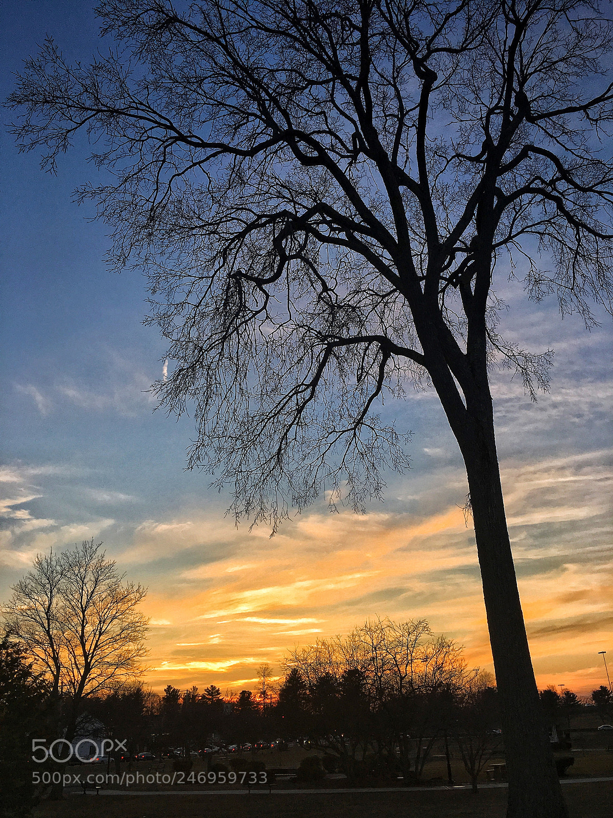 Apple iPhone 6s sample photo. Untitled photography