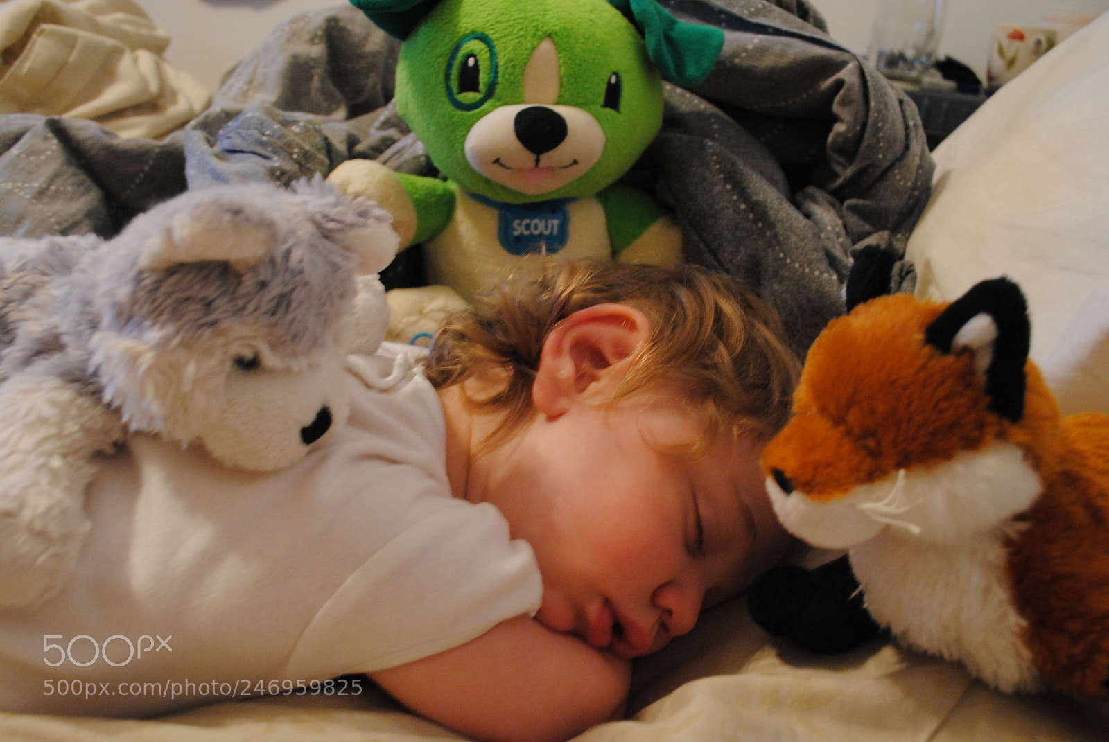 Nikon D3000 sample photo. Guardians photography