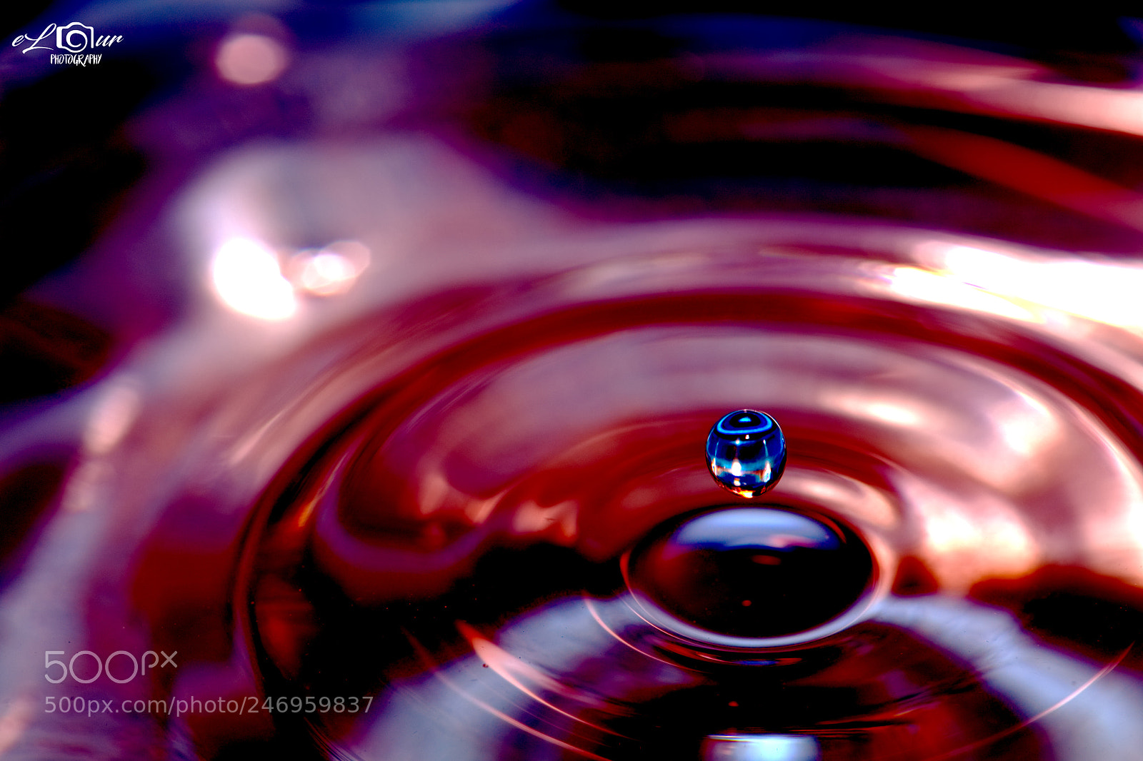 Canon EOS 5DS sample photo. Macro deoplet photography