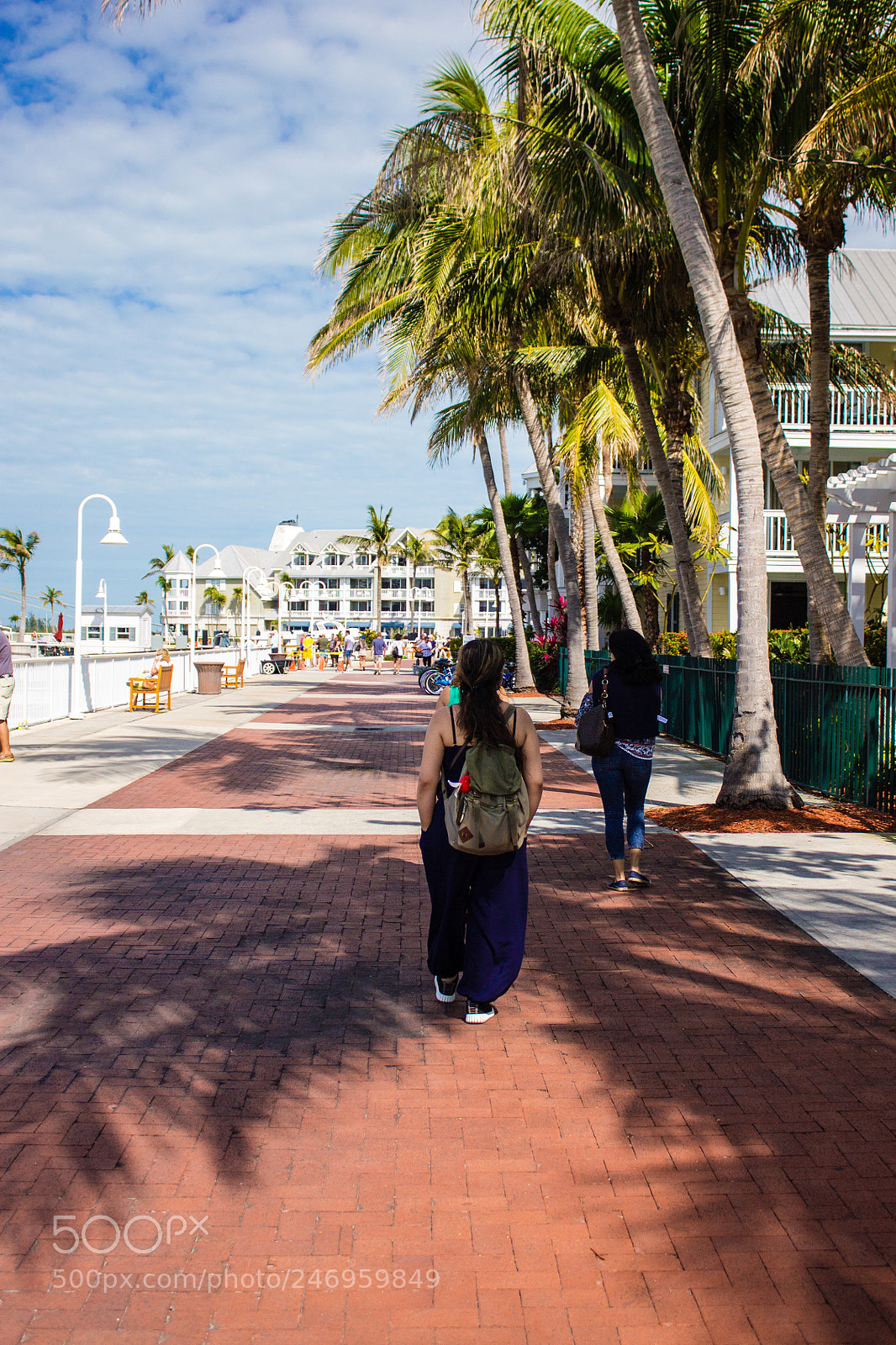 Canon EOS 1100D (EOS Rebel T3 / EOS Kiss X50) sample photo. Key west. photography