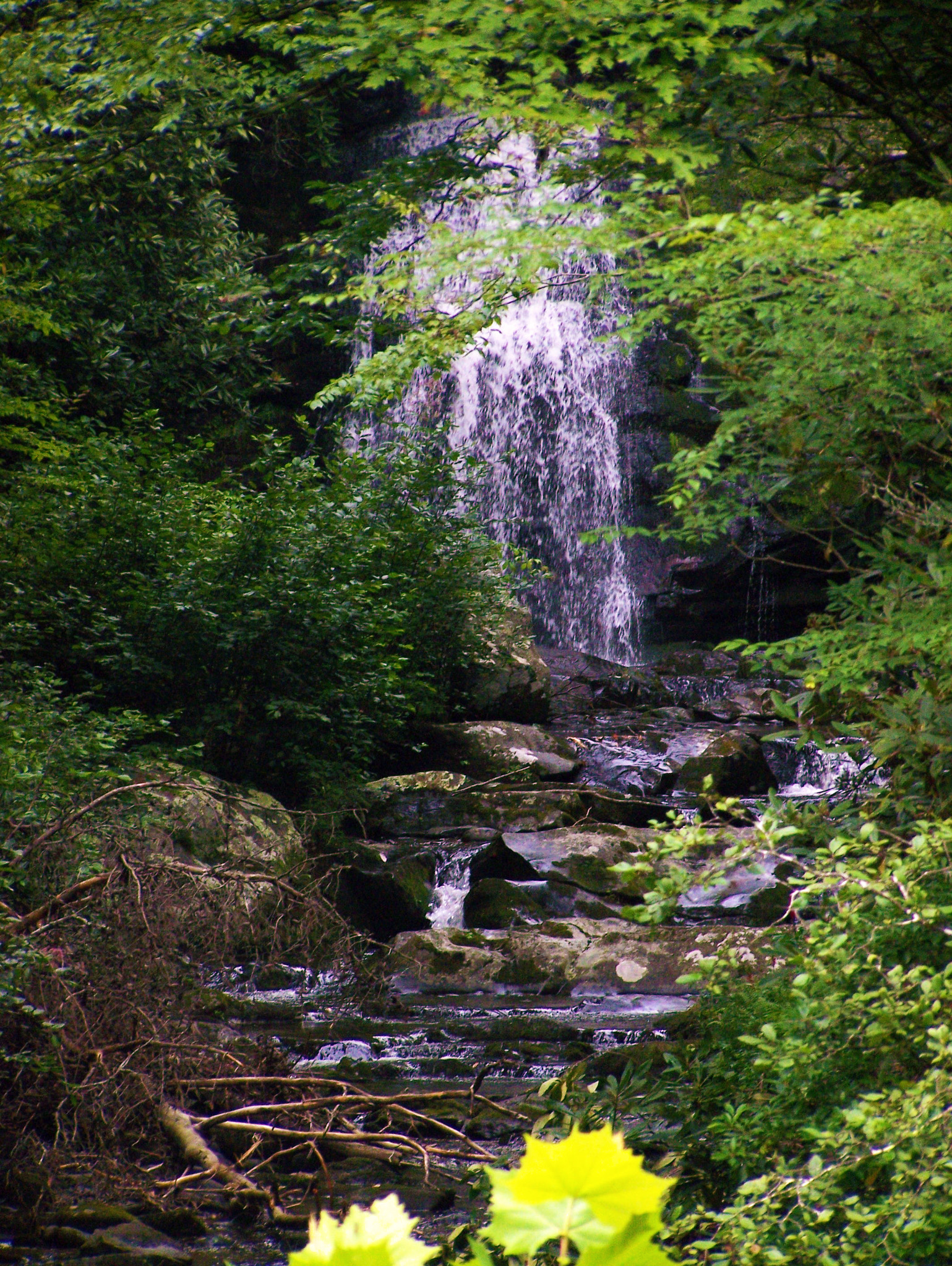 Kodak Z650 ZOOM DIGITAL CAMERA sample photo. "earth and water" photography