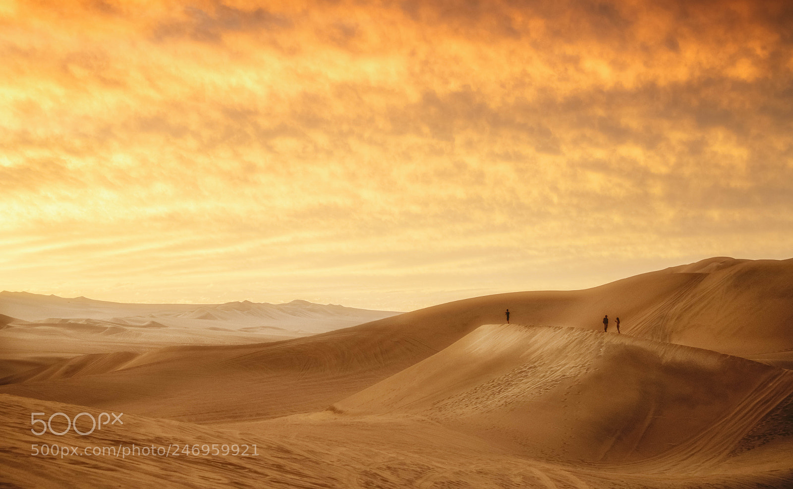 Nikon D850 sample photo. Akatama desert photography