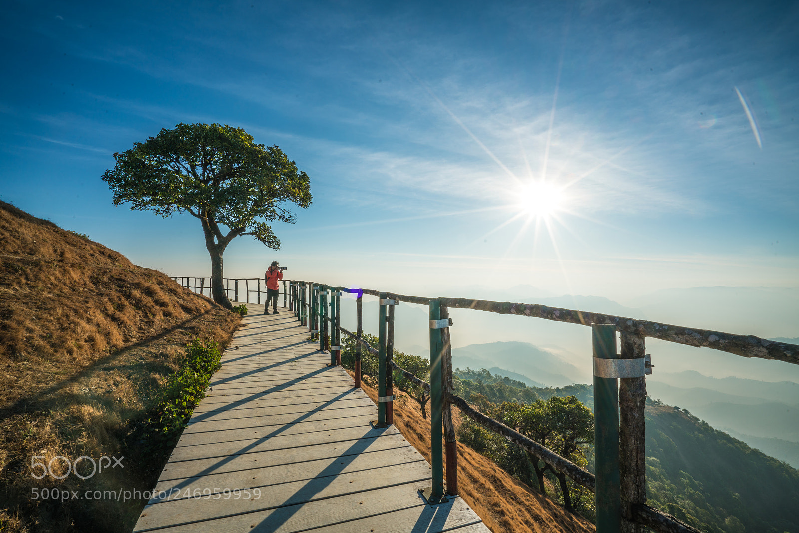 Sony a7R II sample photo. Doi pui co mountain photography