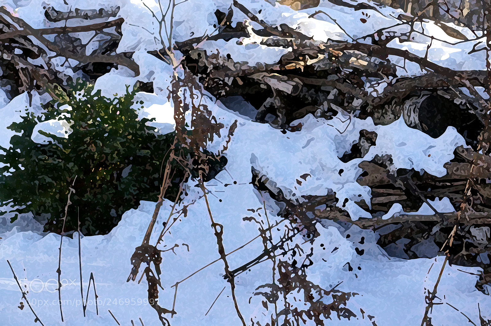 Sony Alpha NEX-6 sample photo. Beauty in winter 4 photography