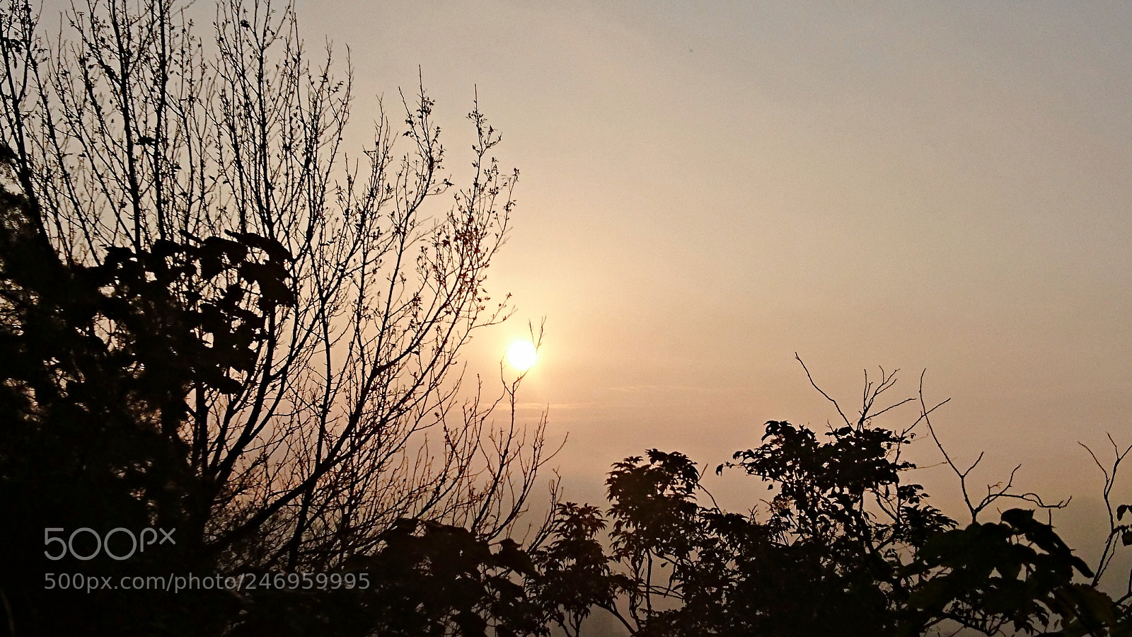 Sony Xperia Z5 sample photo. Hazy sunshine photography