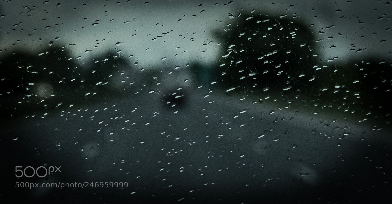 Nikon D7200 sample photo. On the road photography