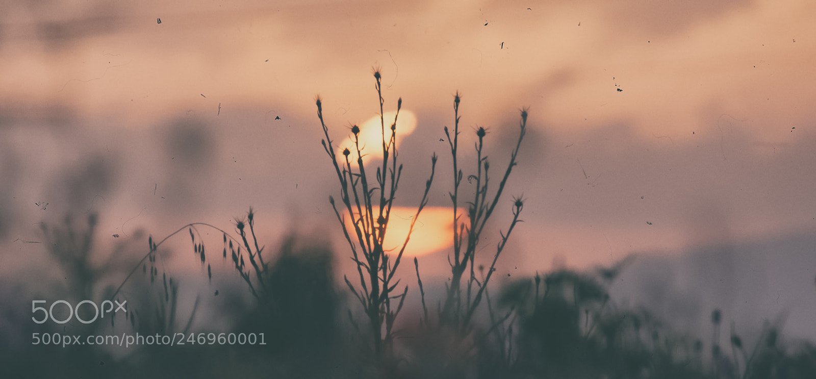 Nikon D7200 sample photo. The sun photography