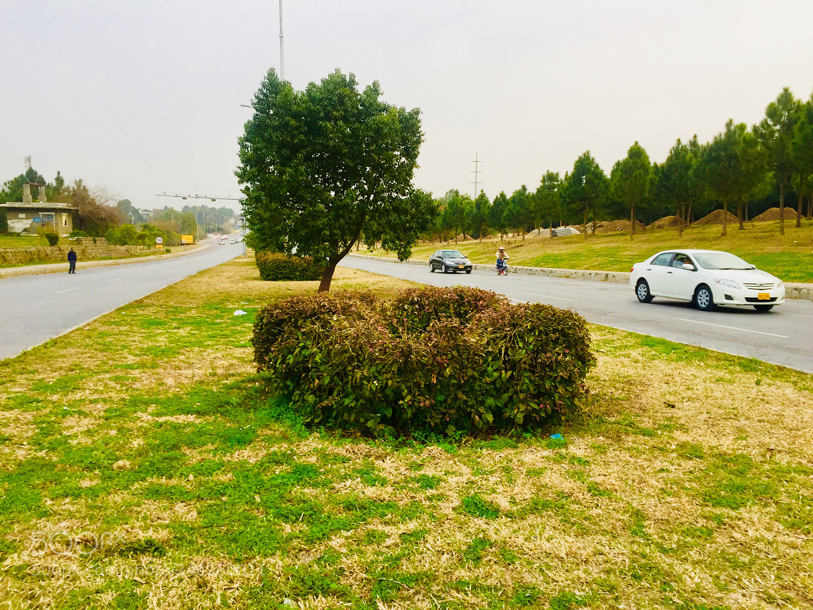 Apple iPhone 6 sample photo. Untitled photography