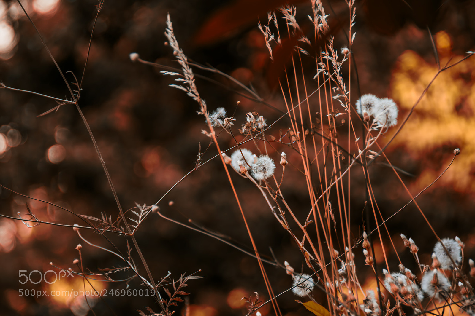 Nikon D7200 sample photo. Hdr photography