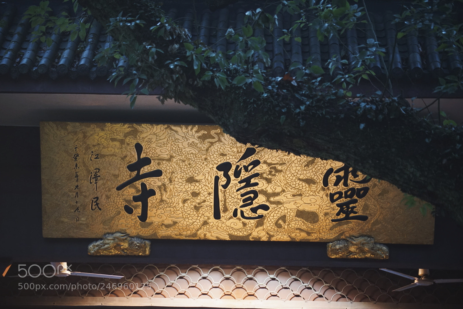 Sony a7 II sample photo. ＋1s photography