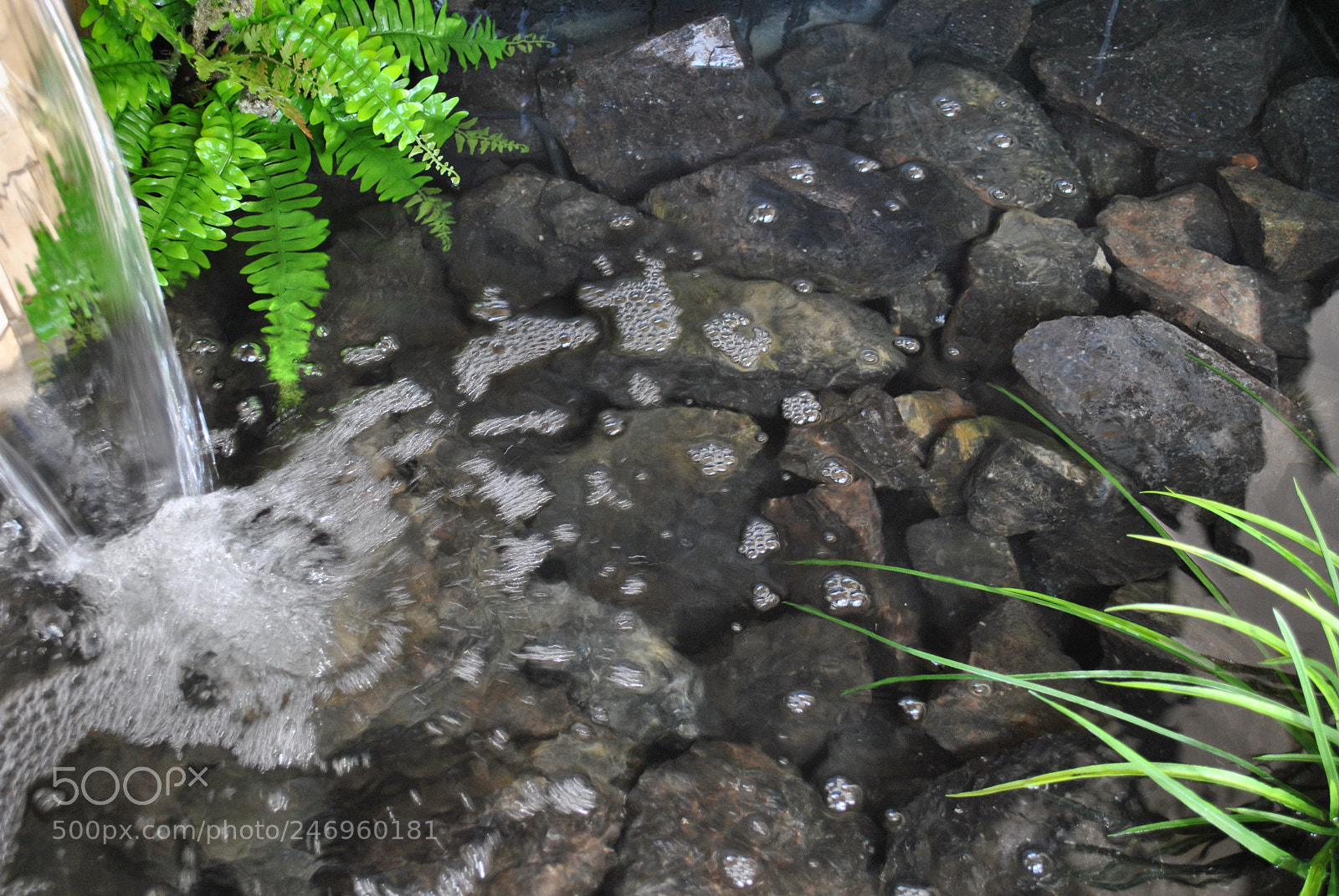Nikon D3000 sample photo. "zen" photography