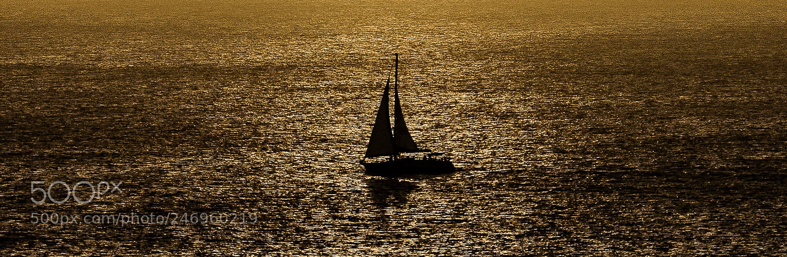 Nikon D810 sample photo. Untitled photography