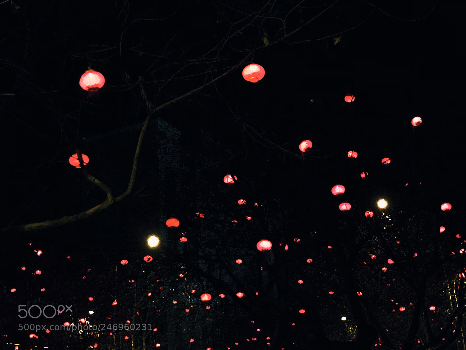 Apple iPhone X sample photo. 春节之夜 photography