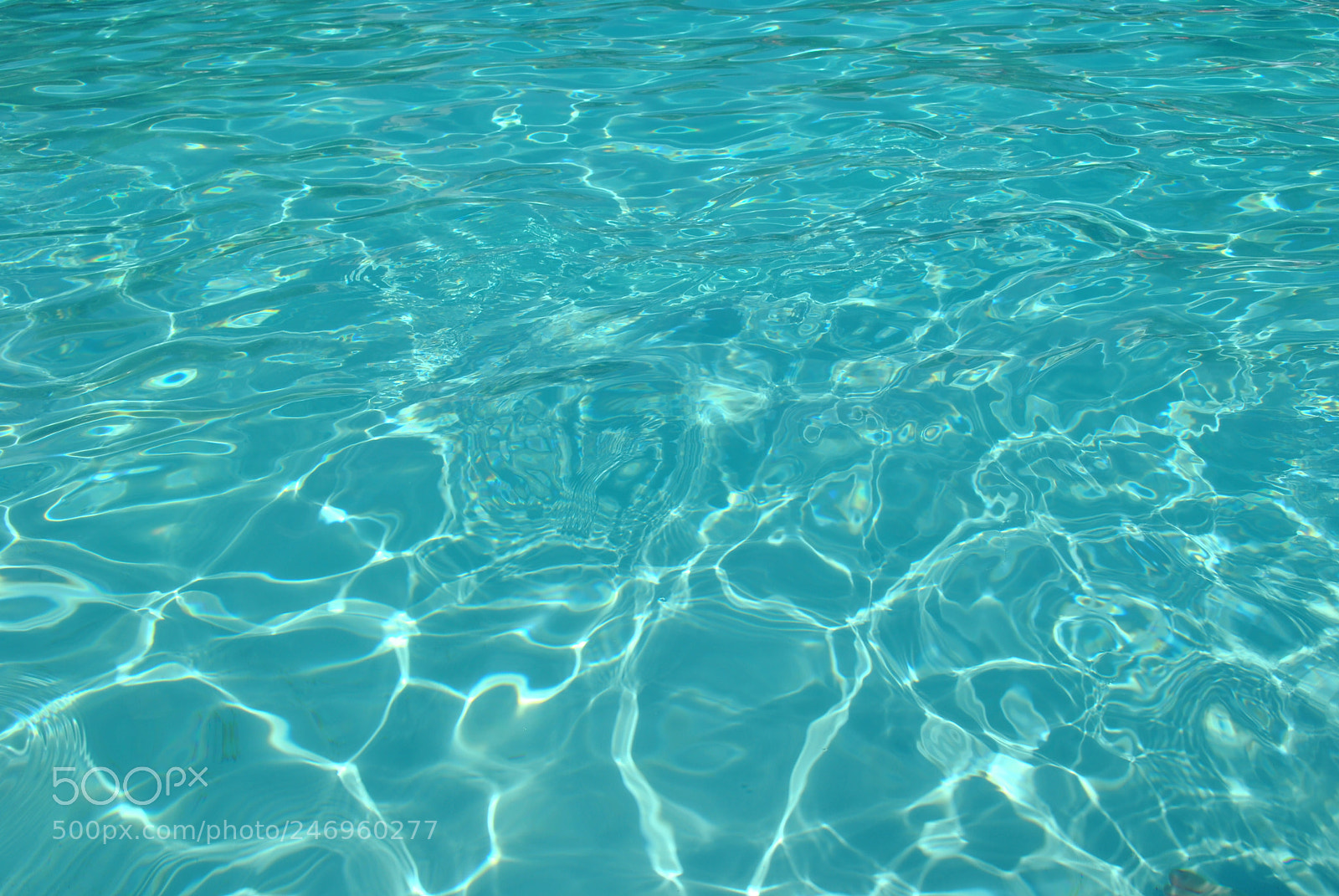 Nikon D3000 sample photo. "aquatic light" photography