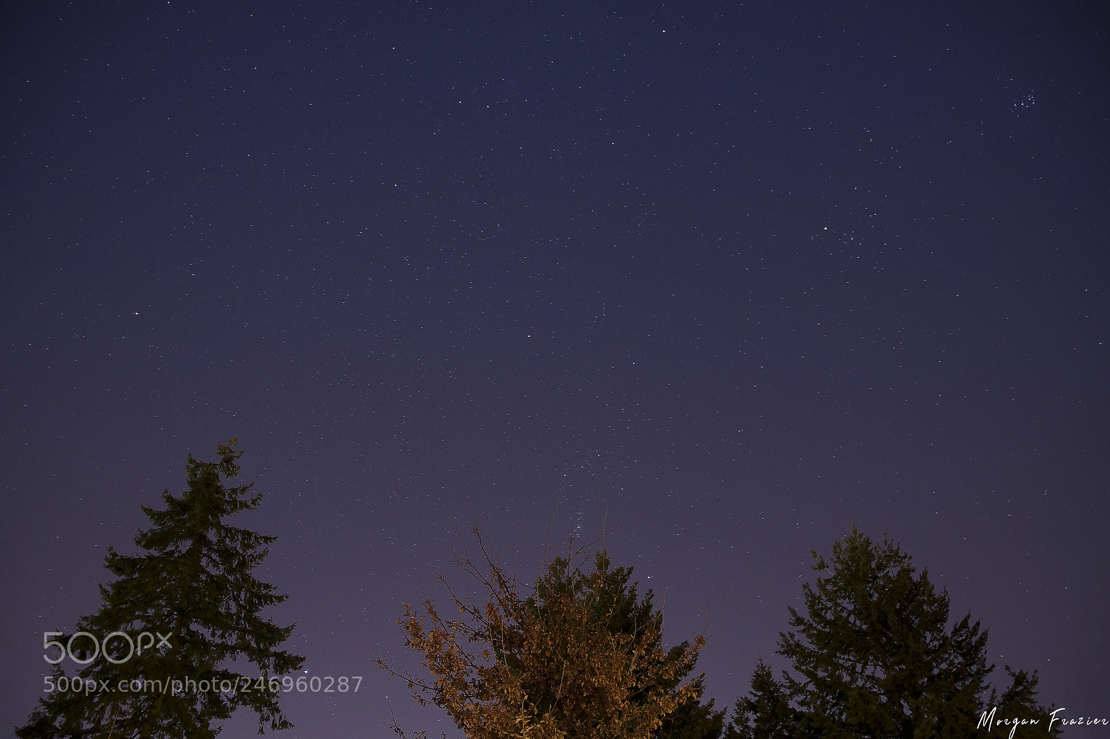 Canon EOS 750D (EOS Rebel T6i / EOS Kiss X8i) sample photo. Skylight photography