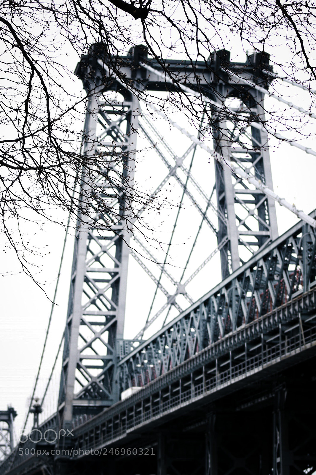 Canon EOS 77D (EOS 9000D / EOS 770D) sample photo. Williamsburg photography
