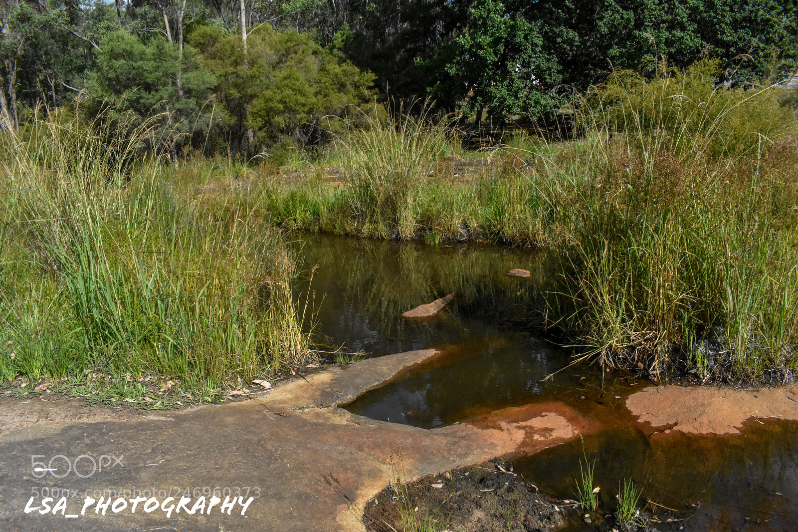 Nikon D3400 sample photo. Untitled photography