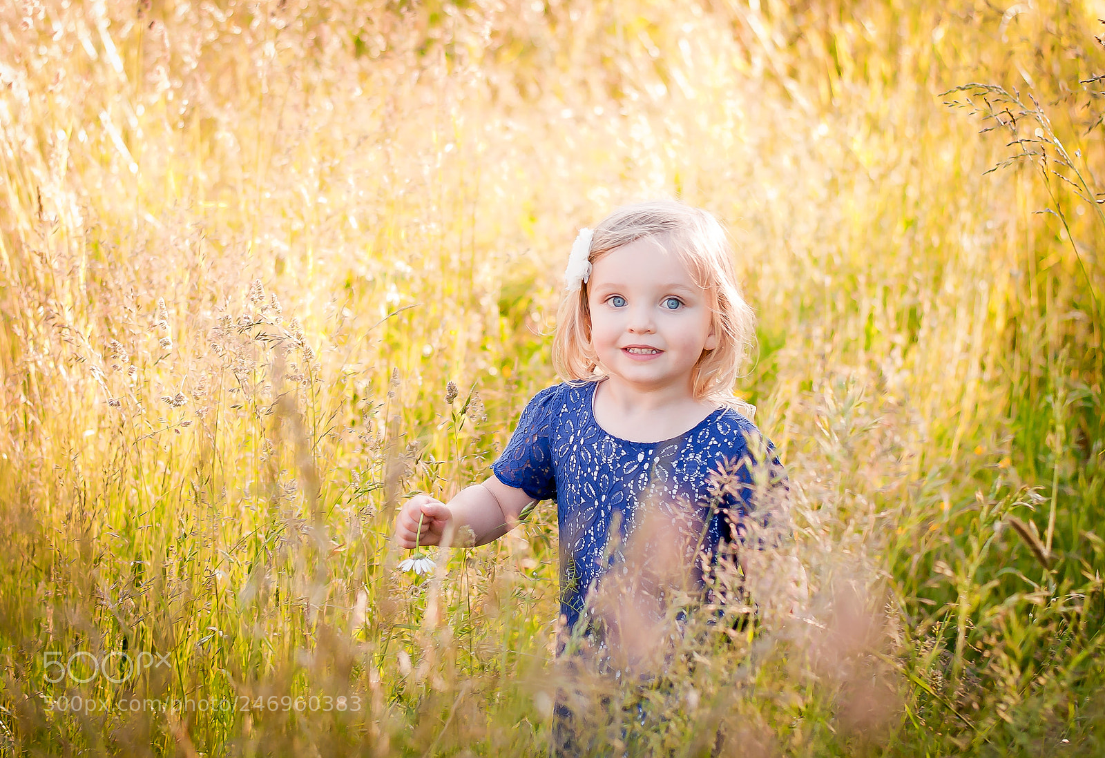 Nikon D5000 sample photo. Tall grass photography