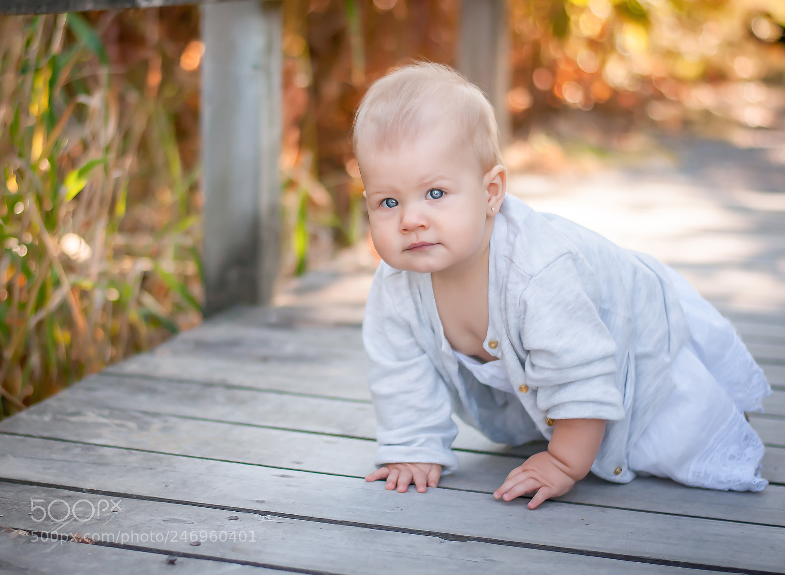 Nikon D300S sample photo. September photography