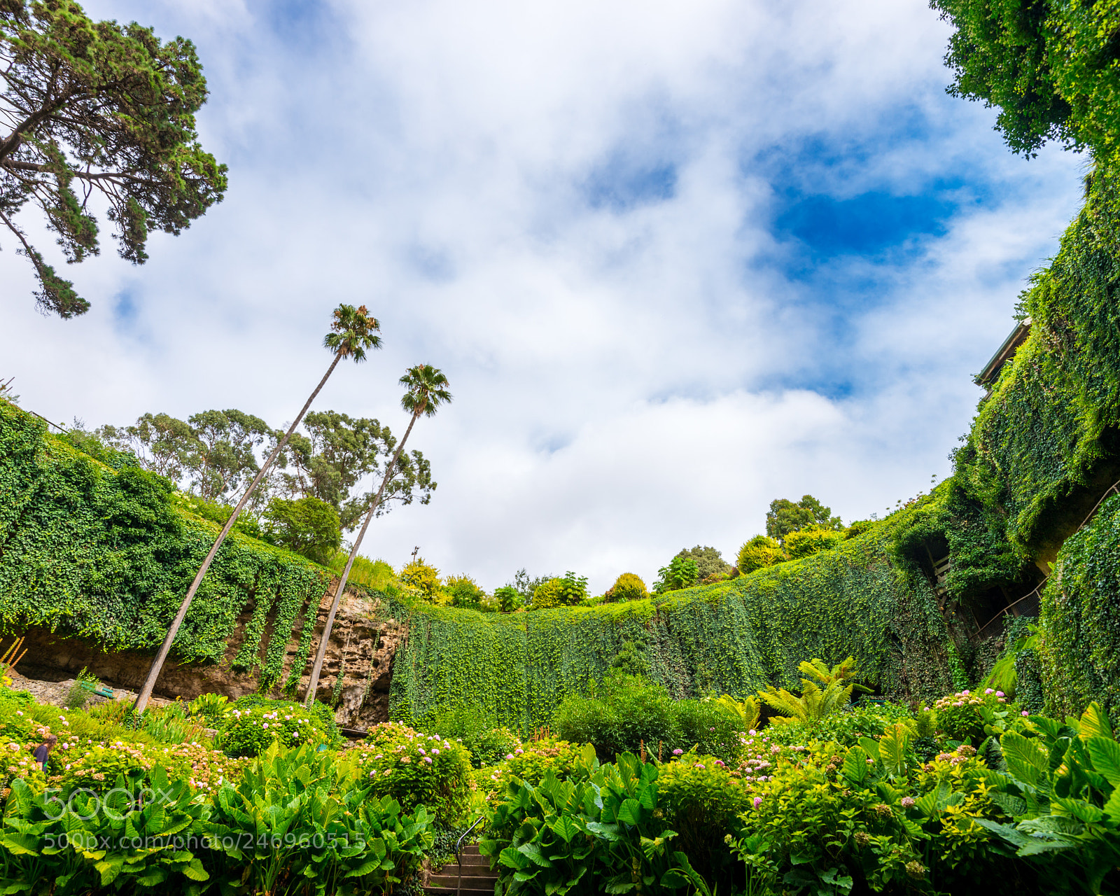 Nikon D800 sample photo. Umpherston sinkhole photography