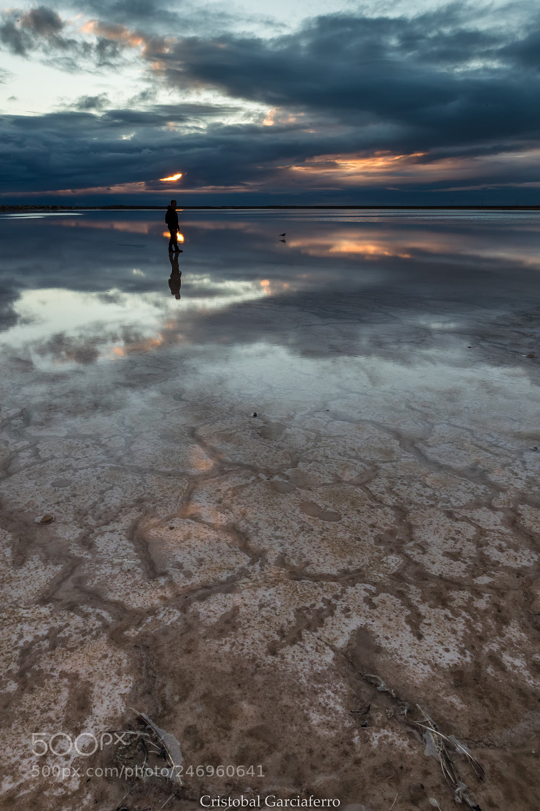 Canon EOS-1D X Mark II sample photo. Reflections and sunset photography