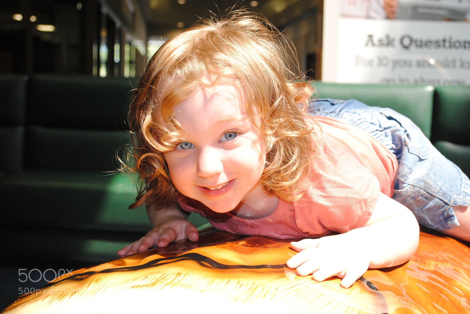 Nikon D3000 sample photo. "sunning on a log" photography