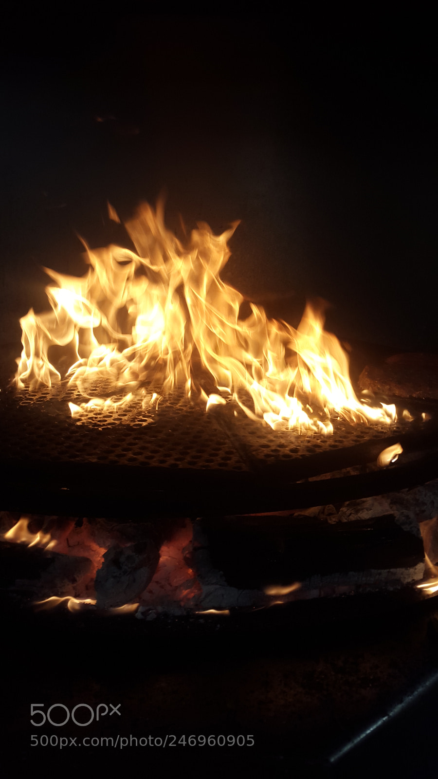 Samsung Galaxy S5 sample photo. Ligh? photography