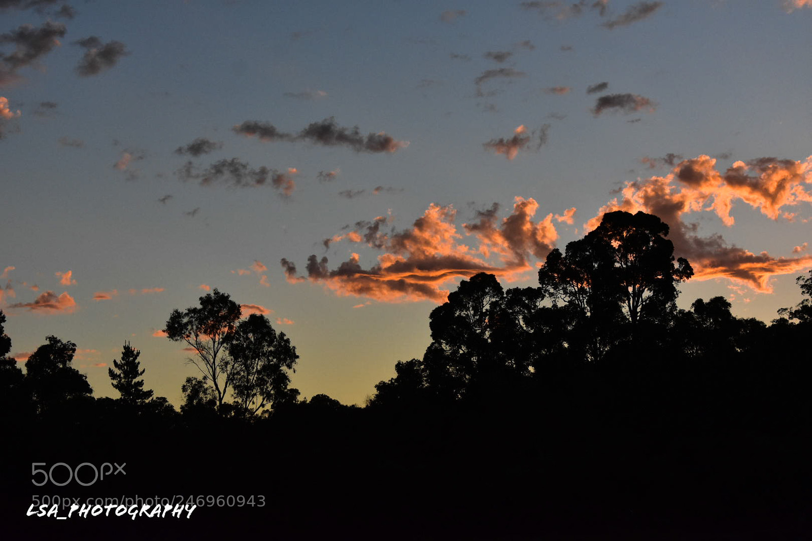 Nikon D3400 sample photo. Untitled photography
