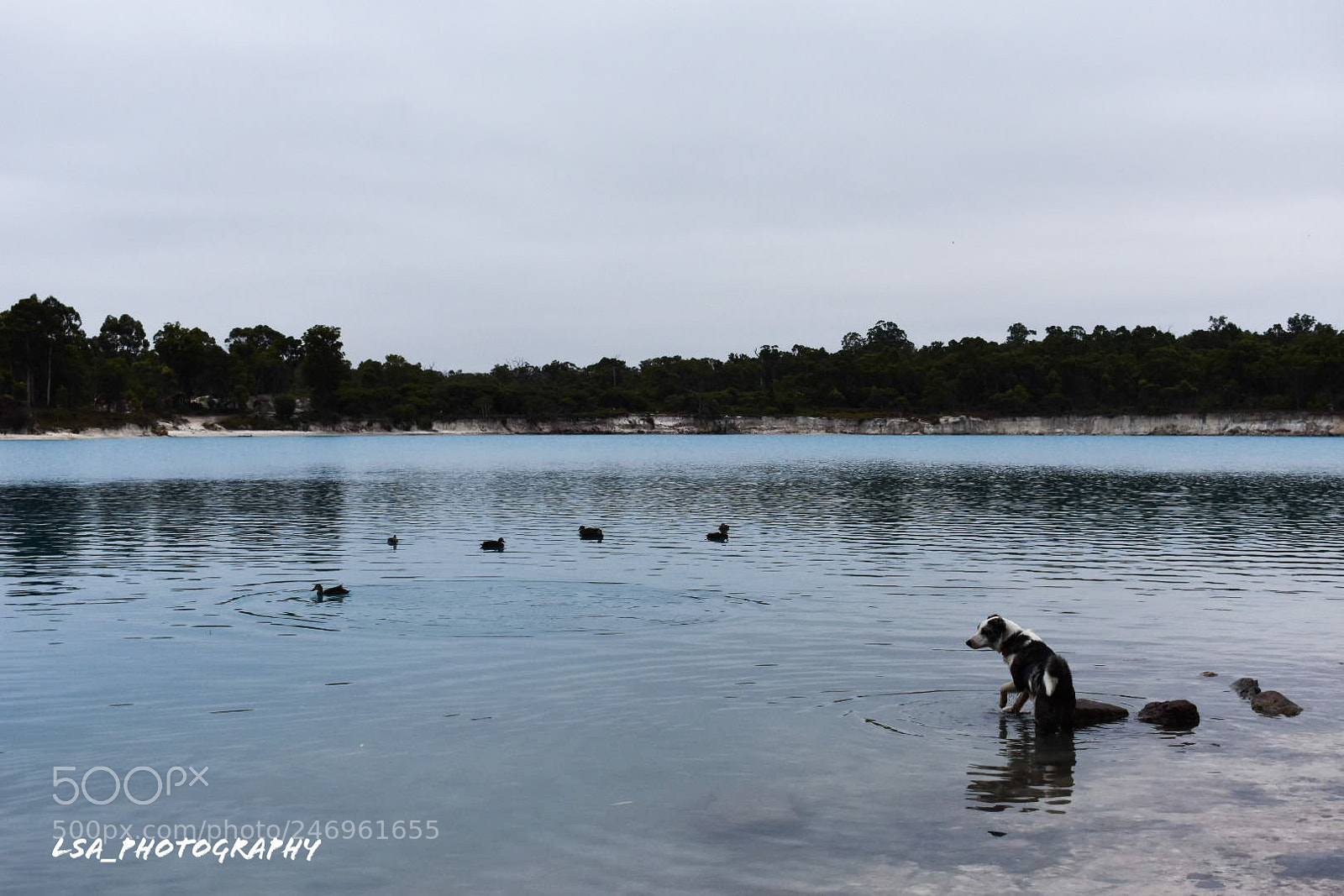 Nikon D3400 sample photo. Untitled photography