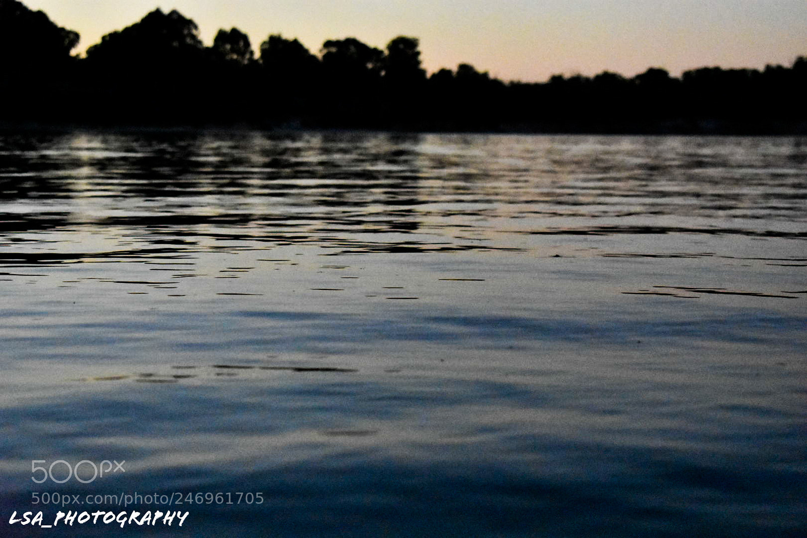 Nikon D3400 sample photo. Untitled photography