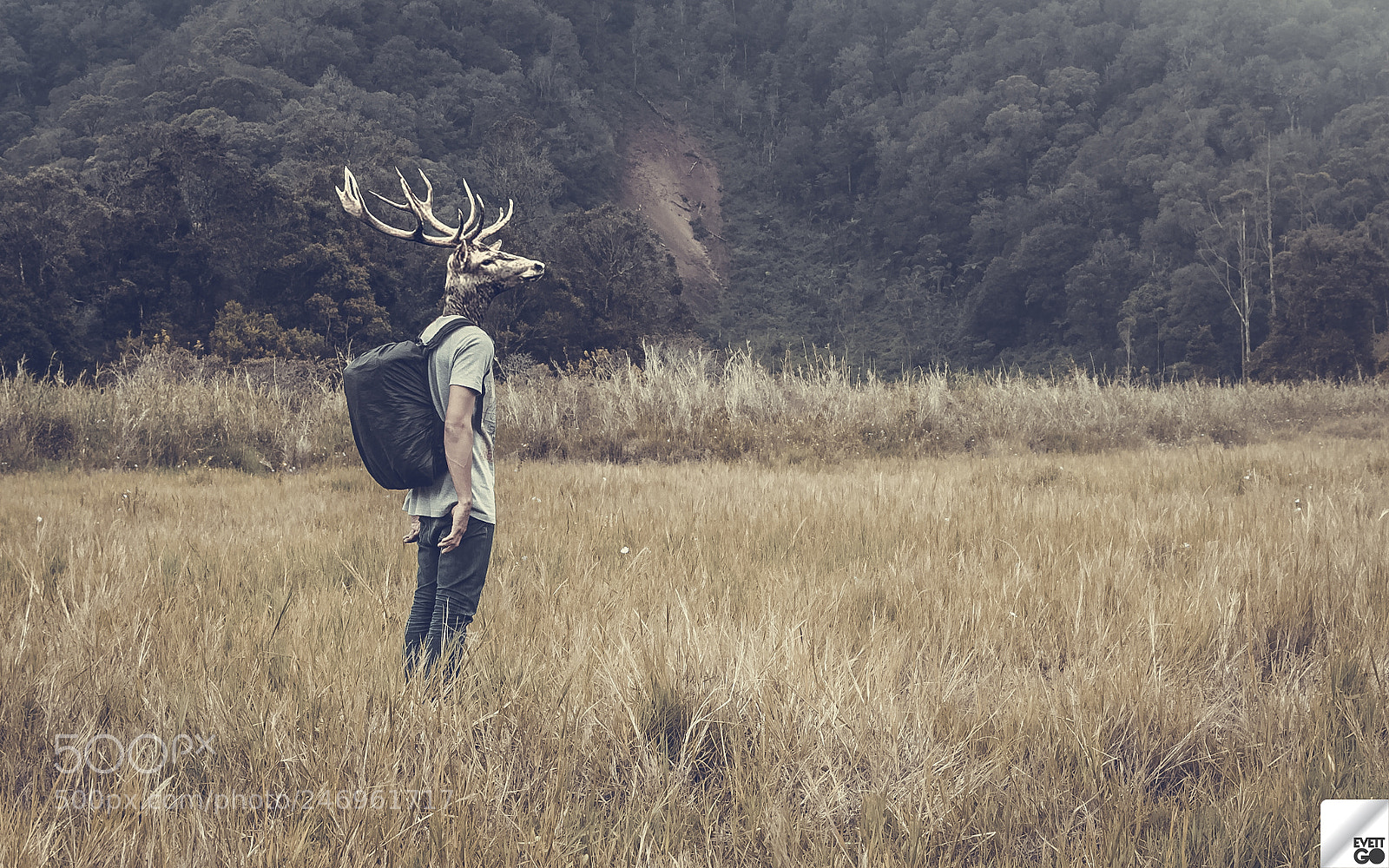 Canon EOS 60D sample photo. Come as a deer photography