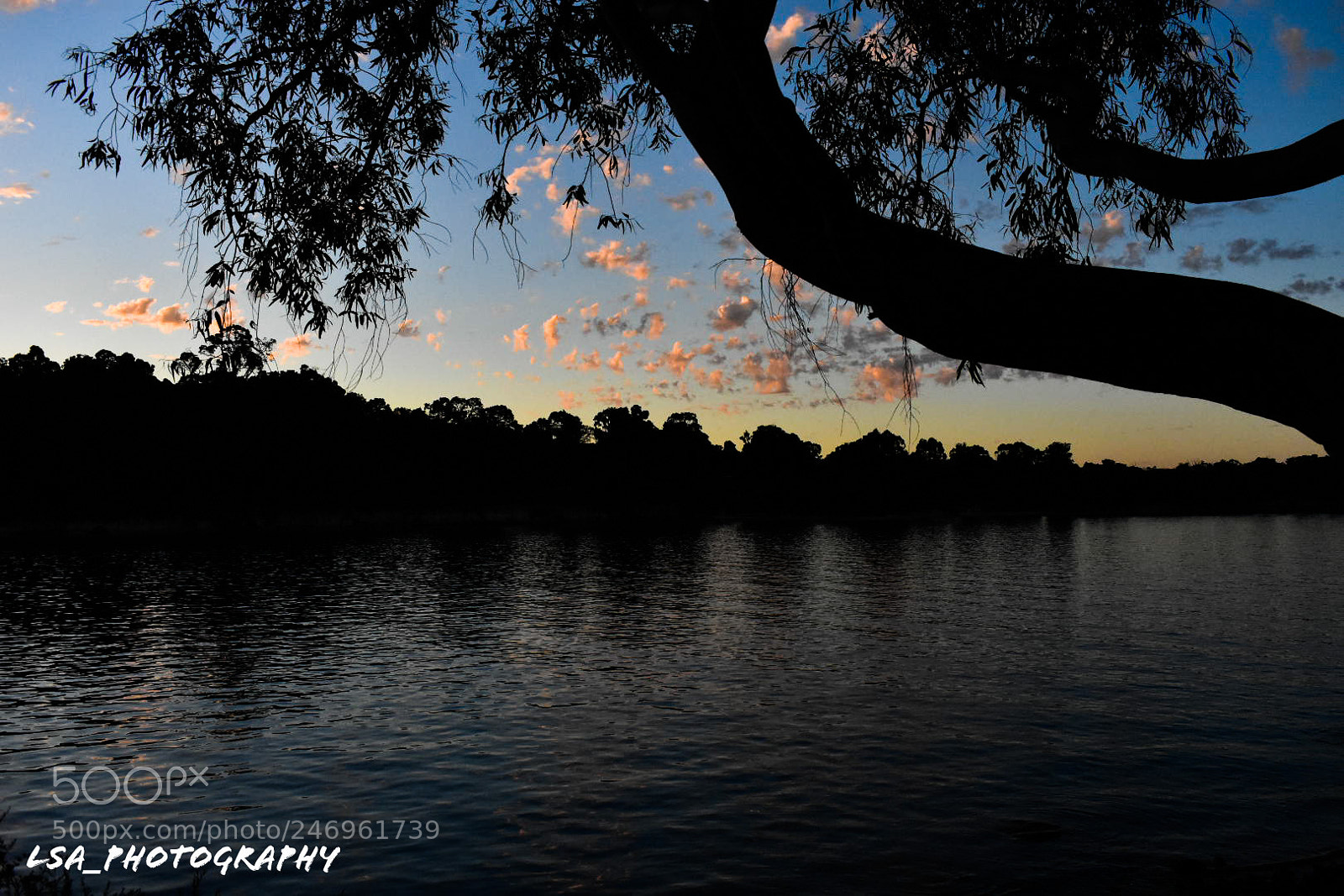 Nikon D3400 sample photo. Untitled photography