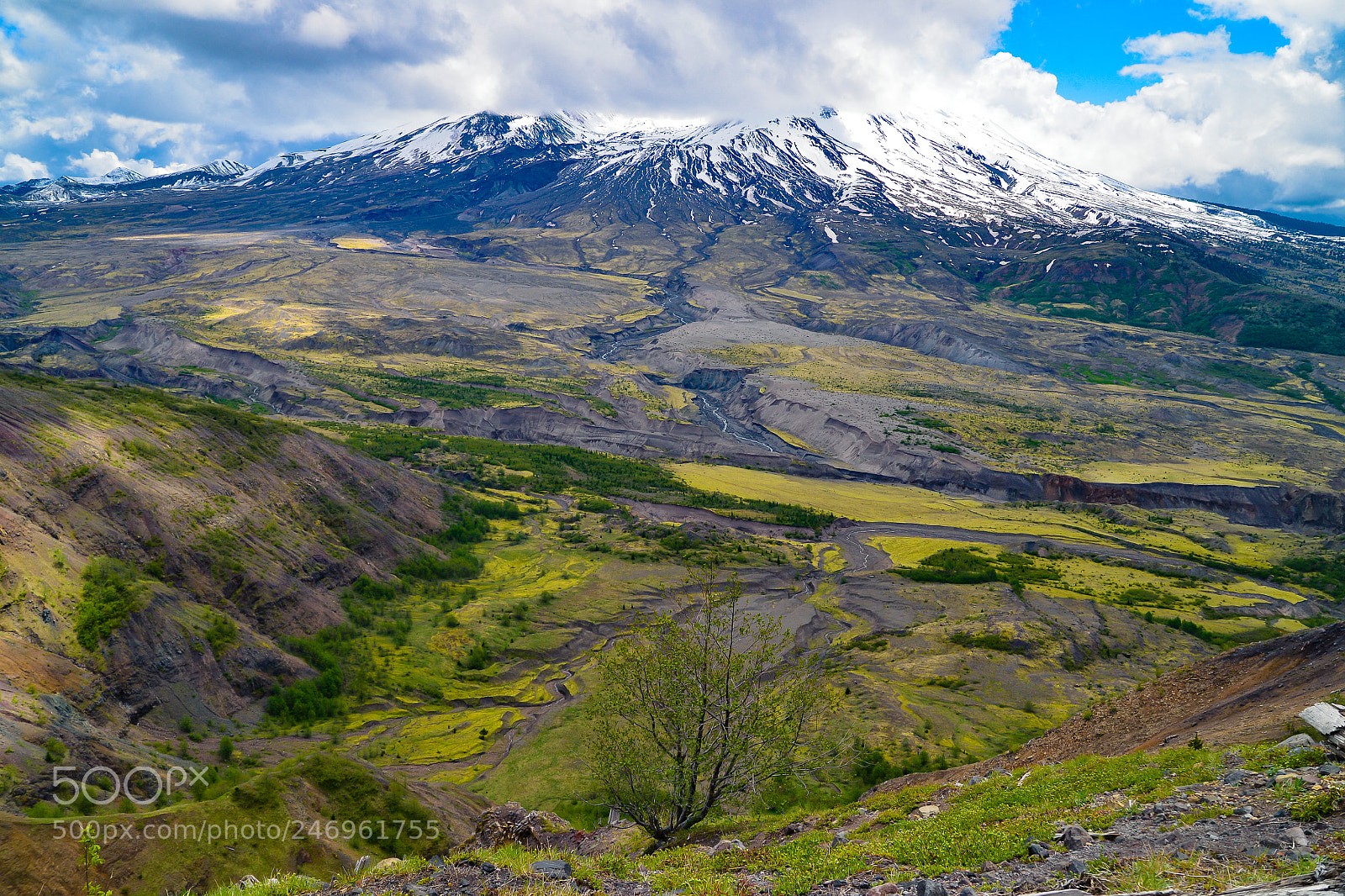 Nikon D600 sample photo. Mt st helens photography