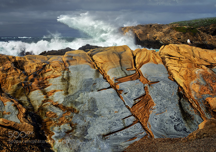 Pentax 645Z sample photo. Colorful sandstone rocks and photography
