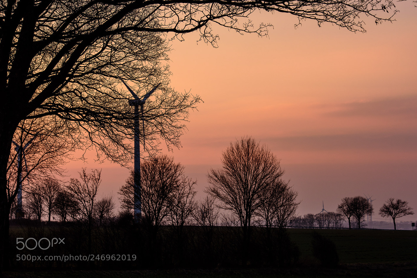 Nikon D810 sample photo. Untitled photography