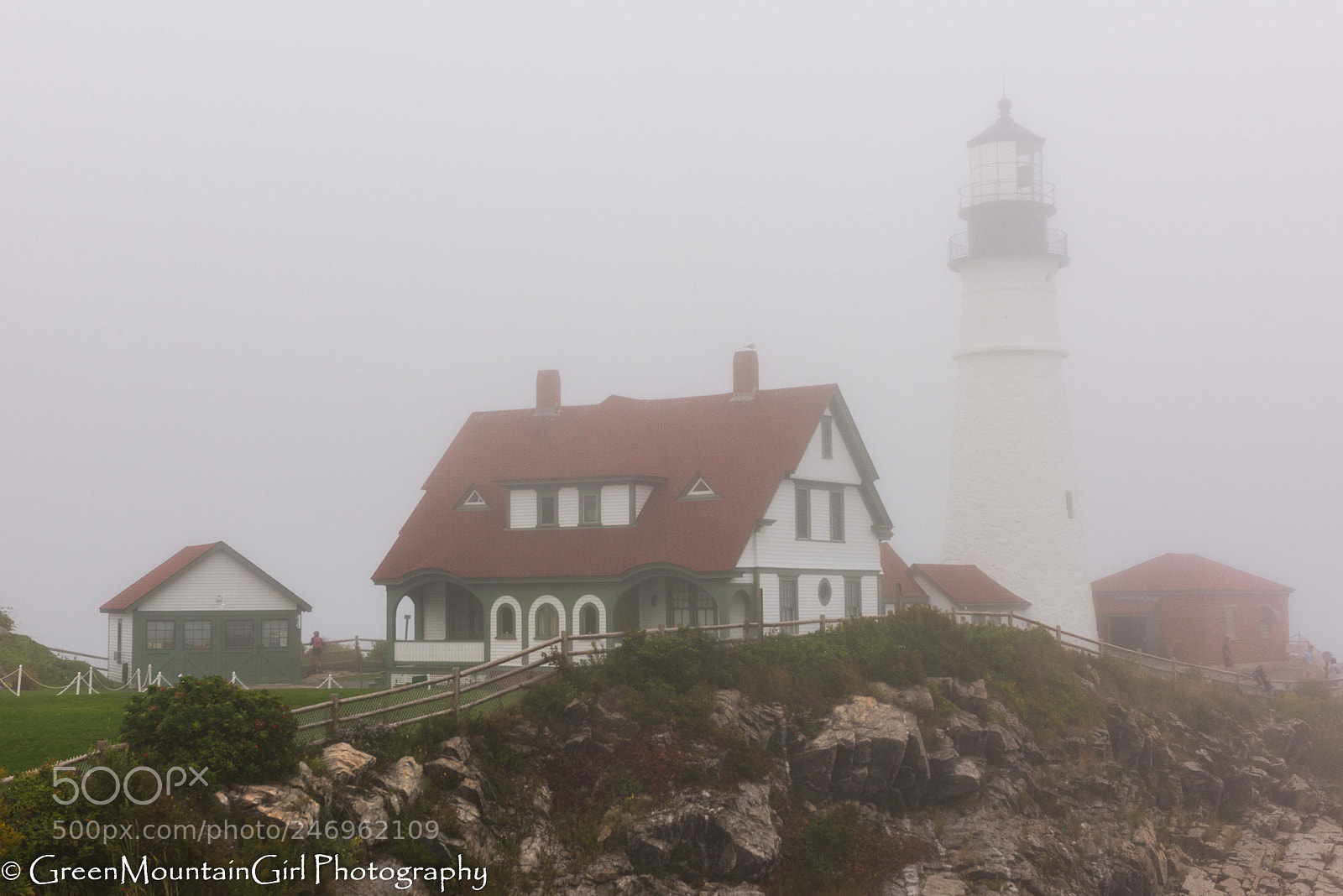 Nikon D810 sample photo. Through the fog photography