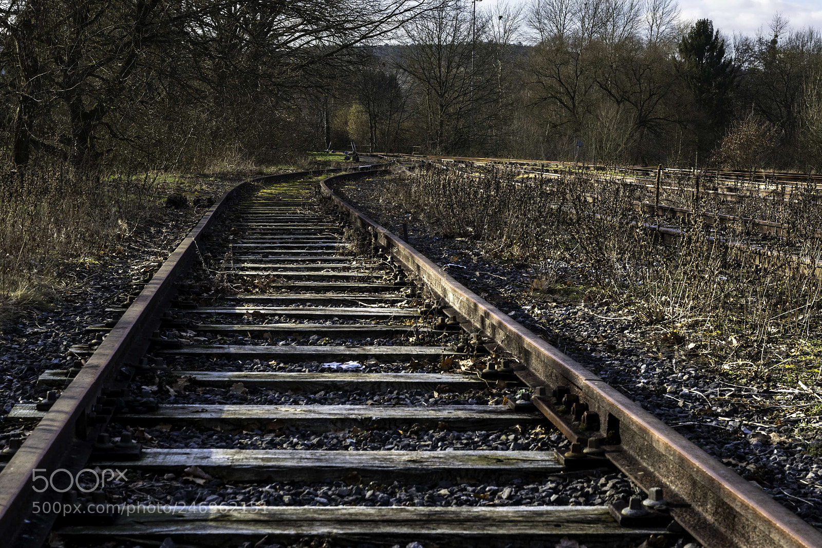 Nikon D800E sample photo. Des rails d'autrefois photography