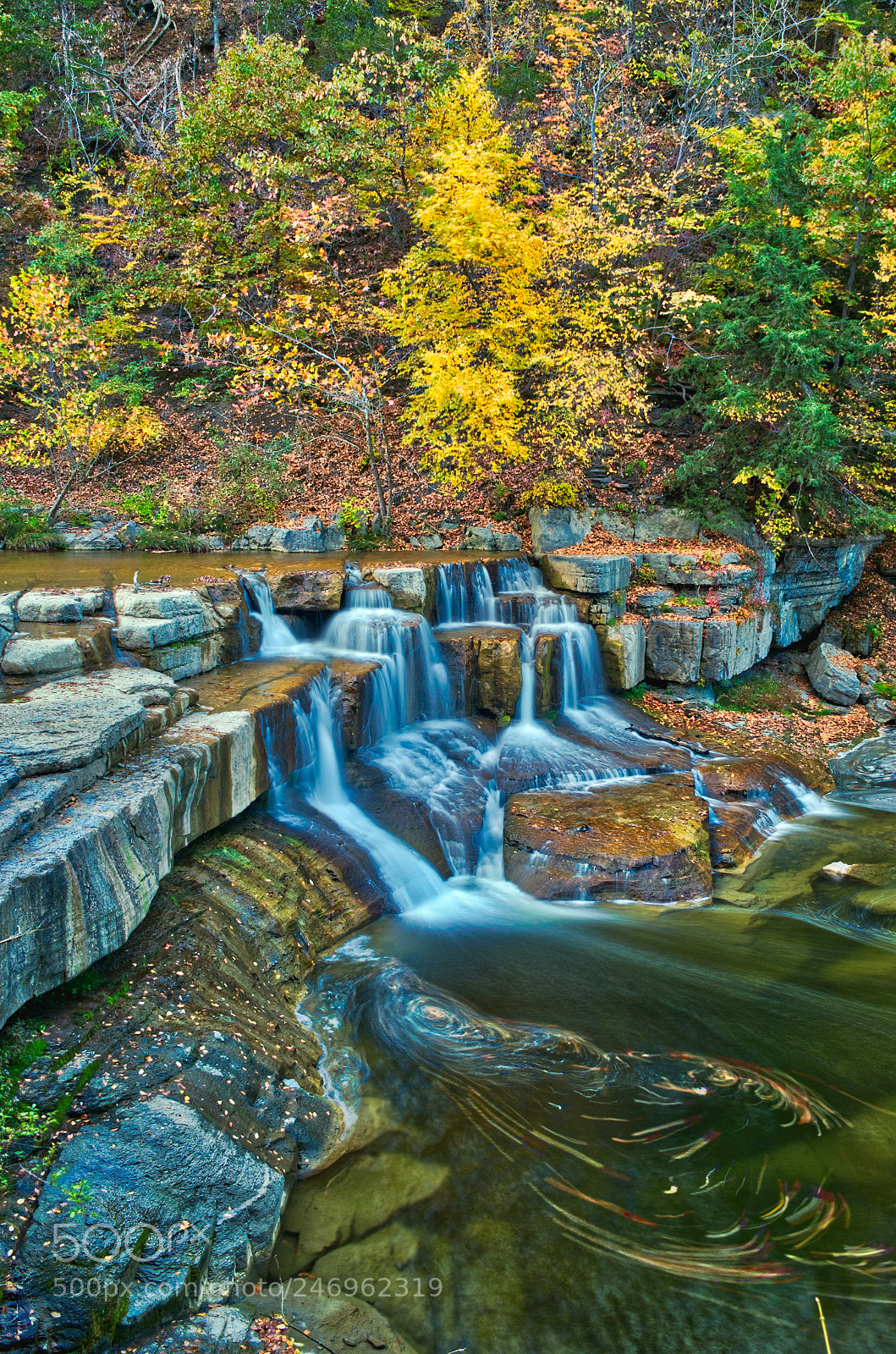 Nikon D5100 sample photo. Seasons photography