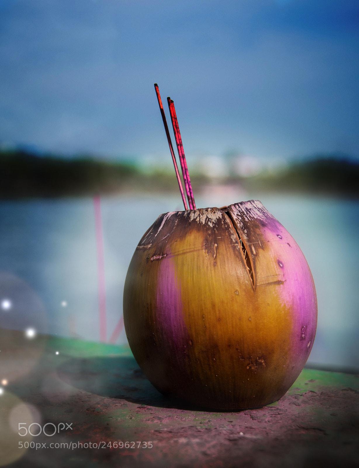 Nikon D90 sample photo. Coconut fruit photography