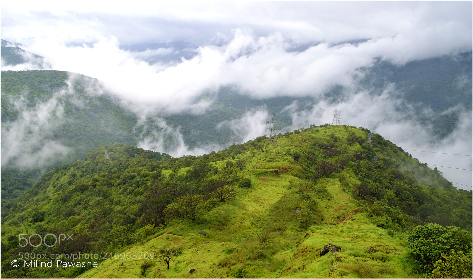 Nikon D5100 sample photo. Mesmerising tilari nature always photography